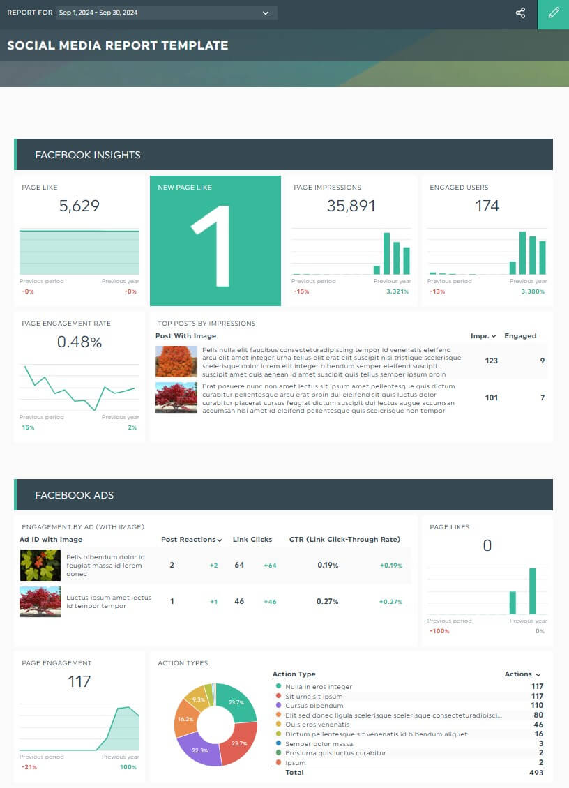 Modèle gratuit de présentation des médias sociaux pour Facebook Insights et Facebook Ads